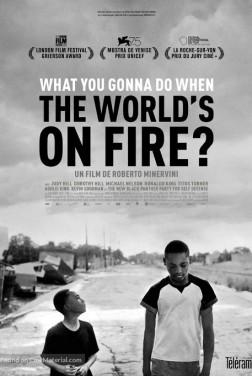 What You Gonna Do When the World's on Fire? (2018)
